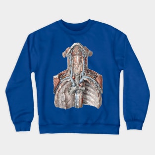 Vintage Science, Human Anatomy with the Throat, Neck, Chest and Ribs Crewneck Sweatshirt